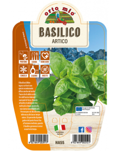 ORTO MIO - LE AROMATICHE -...