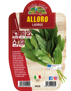 ORTO MIO - LE AROMATICHE -...