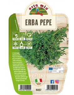 ORTO MIO - LE AROMATICHE -...