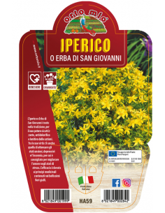 ORTO MIO - LE AROMATICHE -...