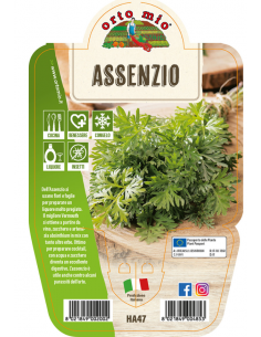 ORTO MIO - LE AROMATICHE -...