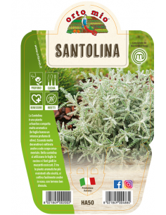 ORTO MIO - LE AROMATICHE -...