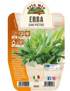 ORTO MIO - LE AROMATICHE -...