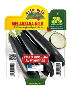 ORTO MIO - PIANTA INNESTATA...