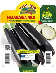 ORTO MIO - PIANTA INNESTATA...