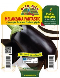 ORTO MIO - PIANTA INNESTATA...