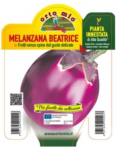 ORTO MIO - PIANTA INNESTATA...