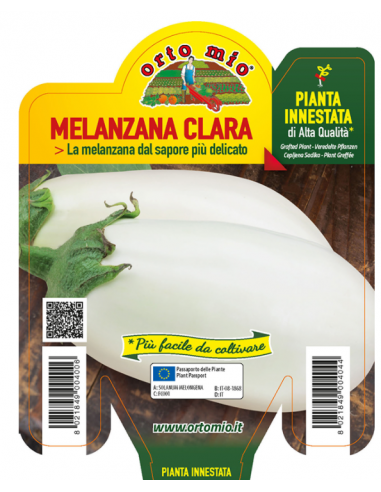 ORTO MIO - PIANTA INNESTATA ALTA... ORTO MIO - PIANTA INNESTATA ALTA...