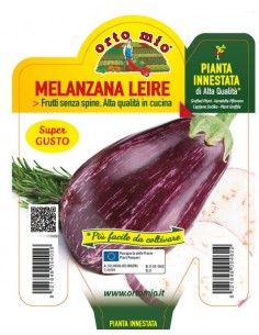 ORTO MIO - PIANTA INNESTATA...