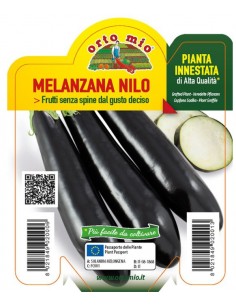 ORTO MIO - PIANTA INNESTATA...