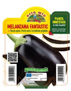 ORTO MIO - PIANTA INNESTATA...