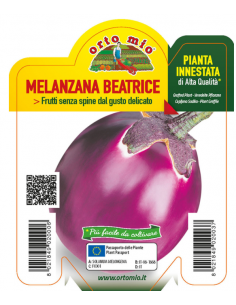 ORTO MIO - PIANTA INNESTATA...