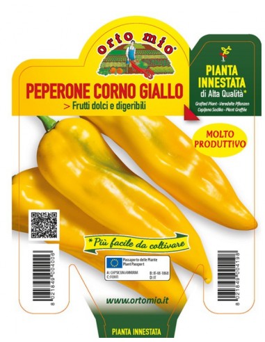 ORTO MIO - PIANTA INNESTATA ALTA... ORTO MIO - PIANTA INNESTATA ALTA...