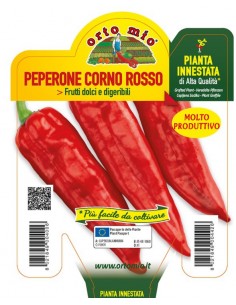 ORTO MIO - PIANTA INNESTATA...