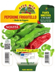 ORTO MIO - PIANTA INNESTATA...