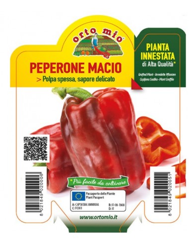 ORTO MIO - PIANTA INNESTATA ALTA... ORTO MIO - PIANTA INNESTATA ALTA...