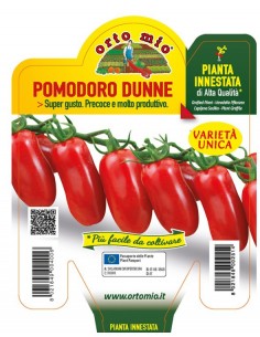 ORTO MIO - PIANTA INNESTATA...