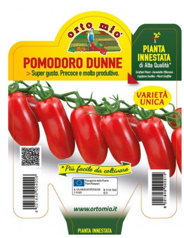 ORTO MIO - PIANTA INNESTATA ALTA... ORTO MIO - PIANTA INNESTATA ALTA...