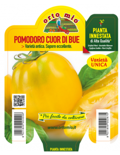 ORTO MIO - PIANTA INNESTATA...