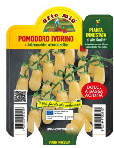 ORTO MIO - PIANTA INNESTATA...