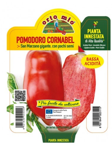 ORTO MIO - PIANTA INNESTATA ALTA...