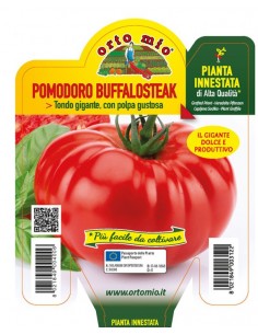 ORTO MIO - PIANTA INNESTATA...