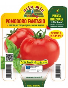 ORTO MIO - PIANTA INNESTATA...