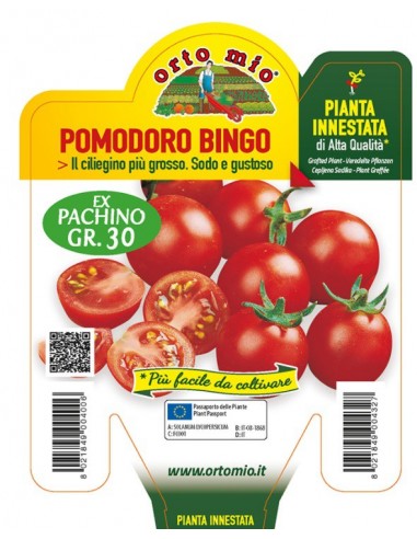 ORTO MIO - PIANTA INNESTATA ALTA... ORTO MIO - PIANTA INNESTATA ALTA...