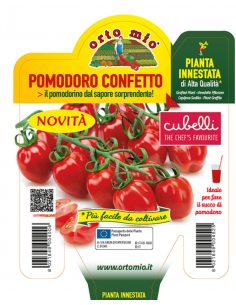 ORTO MIO - PIANTA INNESTATA...