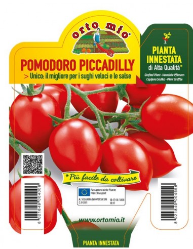 ORTO MIO - PIANTA INNESTATA ALTA... ORTO MIO - PIANTA INNESTATA ALTA...