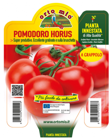 ORTO MIO - PIANTA INNESTATA ALTA... ORTO MIO - PIANTA INNESTATA ALTA...