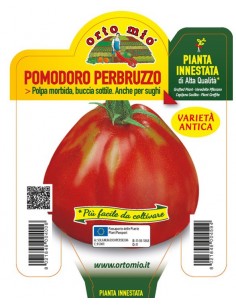 ORTO MIO - PIANTA INNESTATA...