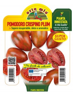 ORTO MIO - PIANTA INNESTATA...