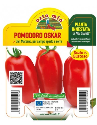 ORTO MIO - PIANTA INNESTATA ALTA... ORTO MIO - PIANTA INNESTATA ALTA...