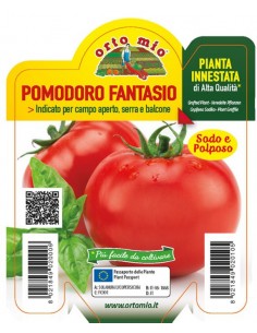 ORTO MIO - PIANTA INNESTATA...