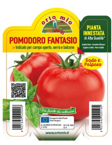 ORTO MIO - PIANTA INNESTATA ALTA... ORTO MIO - PIANTA INNESTATA ALTA...