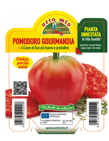 ORTO MIO - PIANTA INNESTATA ALTA... ORTO MIO - PIANTA INNESTATA ALTA...