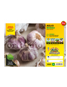 ORTO MIO - PIANTA ALTA...