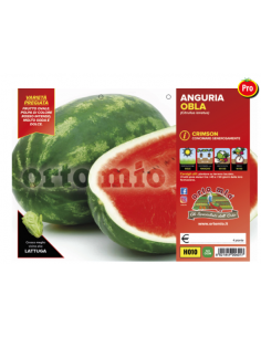 ORTO MIO - PIANTA ALTA...