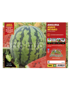 ORTO MIO - PIANTA ALTA...