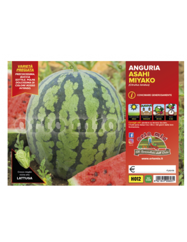 ORTO MIO - PIANTA ALTA QUALITA' -... ORTO MIO - PIANTA ALTA QUALITA' -...