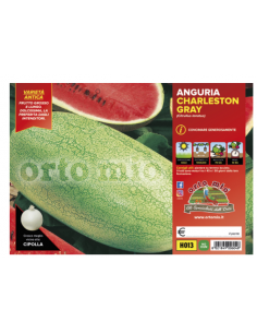 ORTO MIO - PIANTA ALTA...