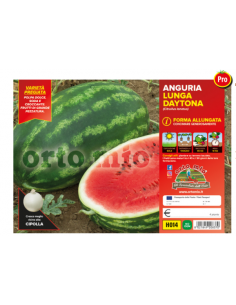 ORTO MIO - PIANTA ALTA...