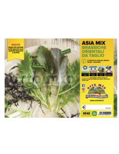 ORTO MIO - PIANTA ALTA...