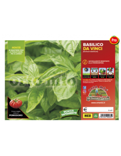 ORTO MIO - PIANTA ALTA...