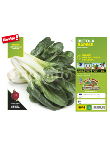 ORTO MIO - PIANTA ALTA QUALITA' -... ORTO MIO - PIANTA ALTA QUALITA' -...