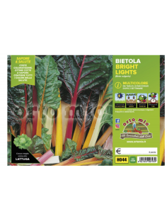 ORTO MIO - PIANTA ALTA...