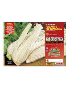 ORTO MIO - PIANTA ALTA...