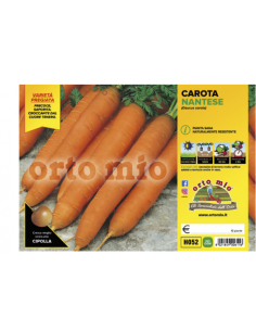 ORTO MIO - PIANTA ALTA...