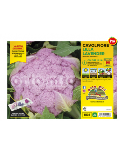 ORTO MIO - PIANTA ALTA...